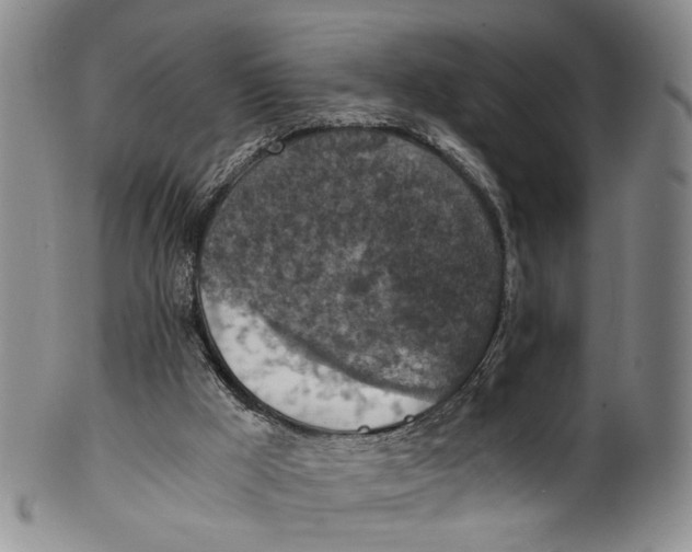 X0000100420009200806271518