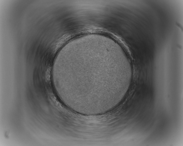 X0000100420010200806271518