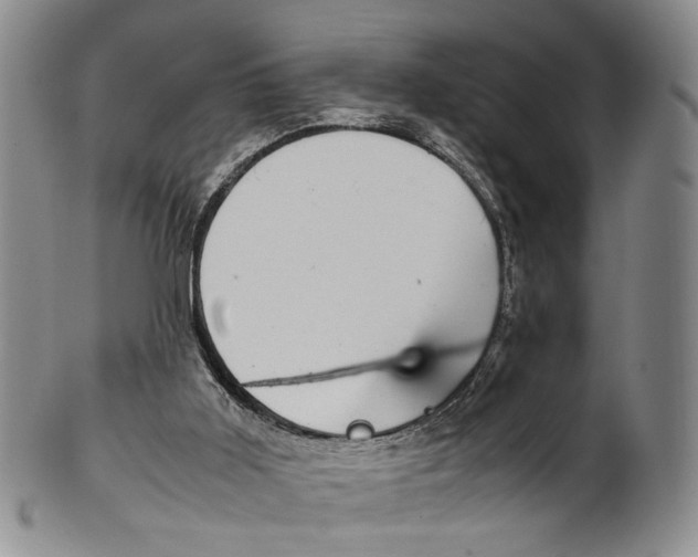 X0000100420011200806271518