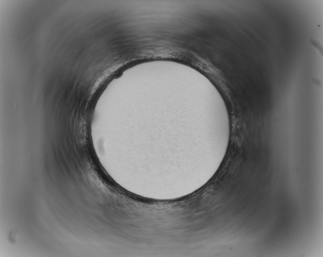 X0000100420012200806271518