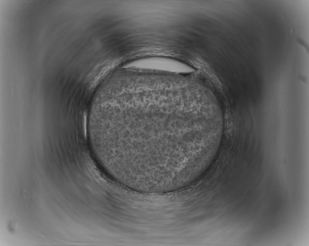 X0000100420014200806271518