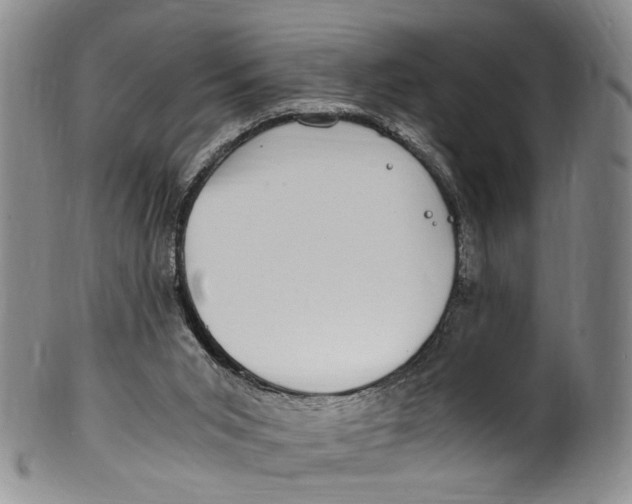 X0000100420015200806271518