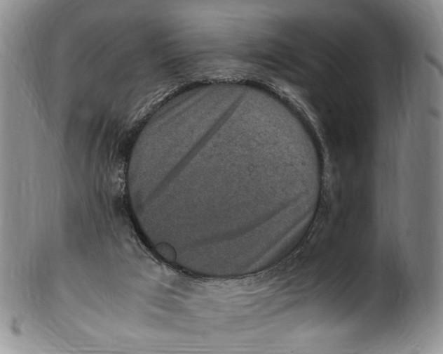 X0000100420017200806271518