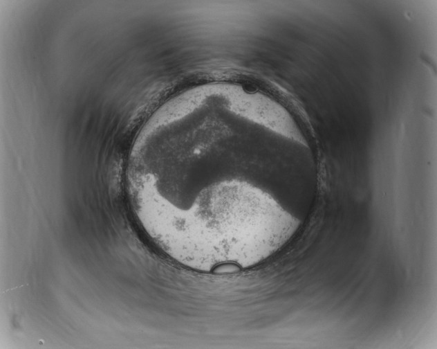 X0000100420018200806271518