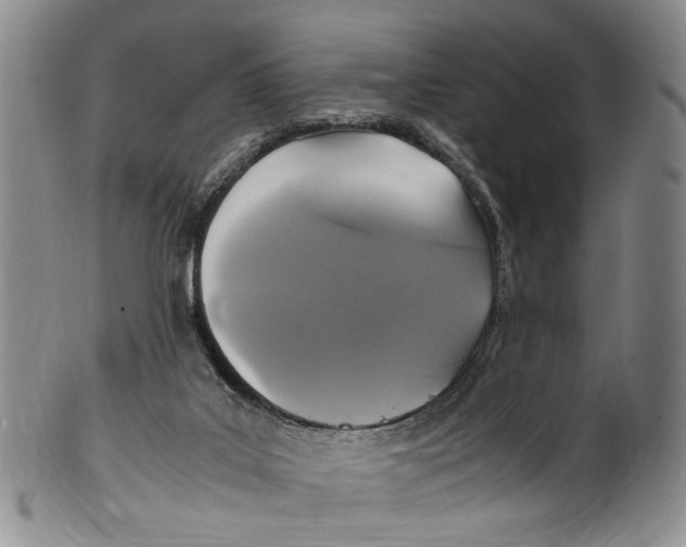 X0000100420019200806271518