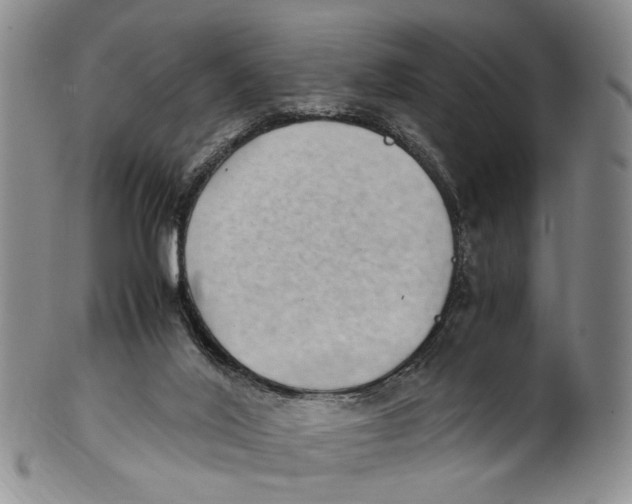 X0000100420020200806271518