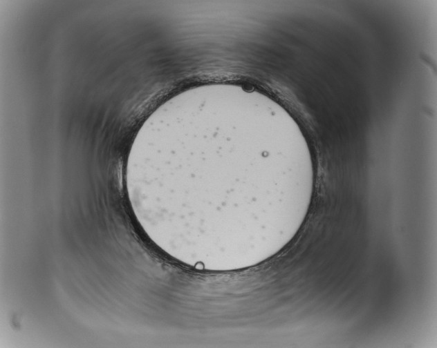 X0000100420021200806271518