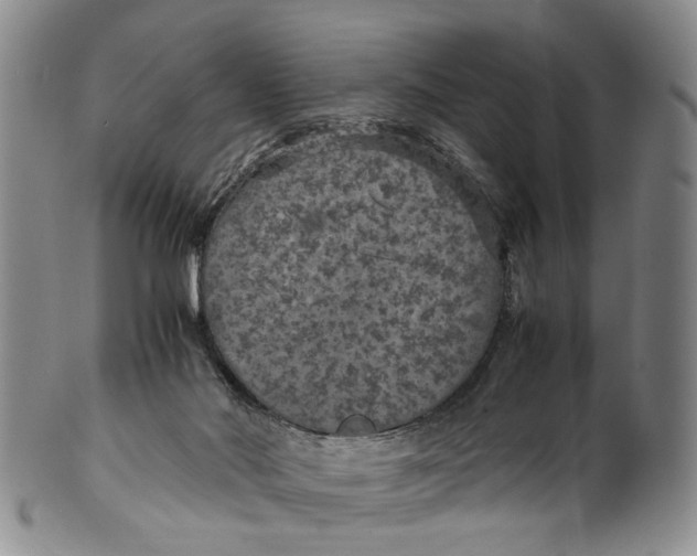 X0000100420022200806271518