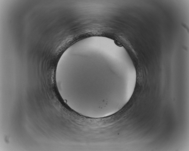 X0000100420023200806271518