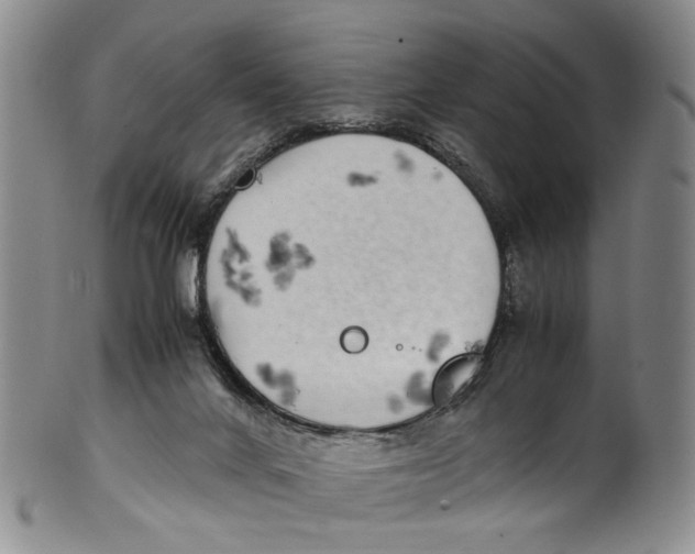 X0000100420024200806271517