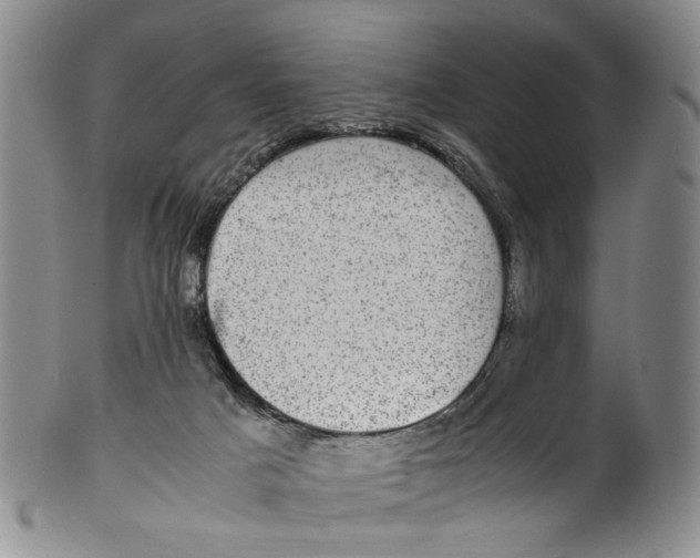 X0000100420025200806271517