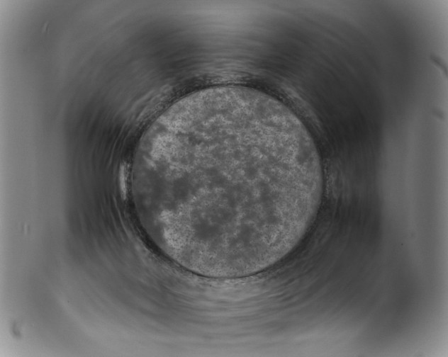 X0000100420026200806271517