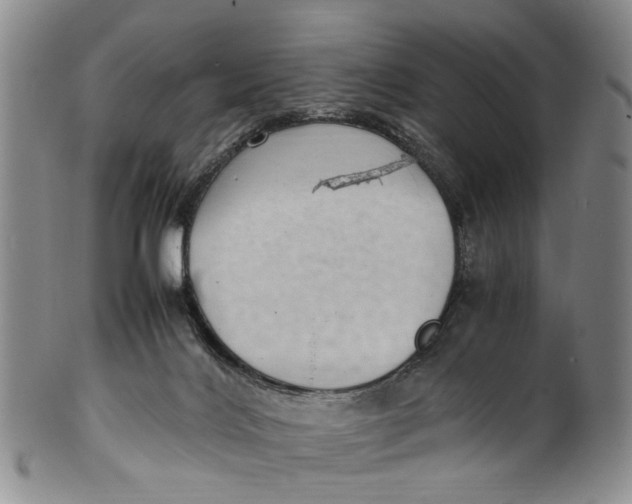 X0000100420028200806271517