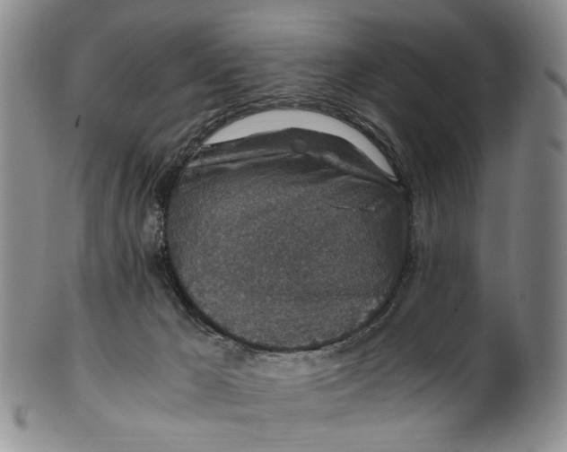 X0000100420029200806271517