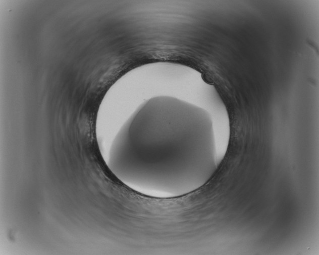 X0000100420031200806271517