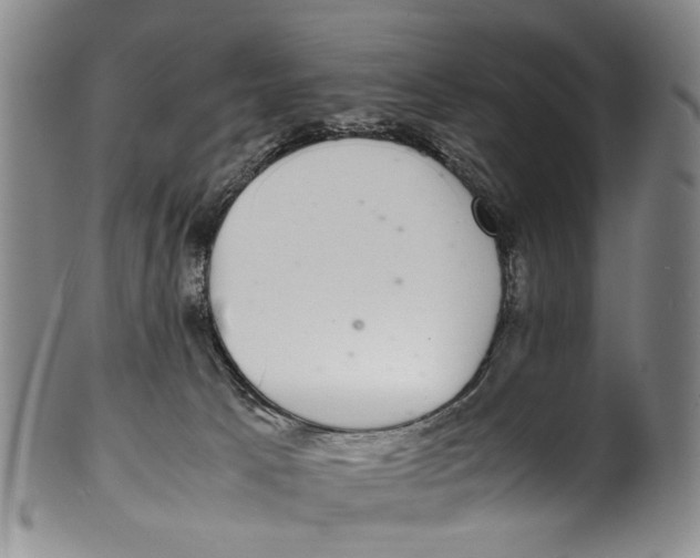 X0000100420033200806271517