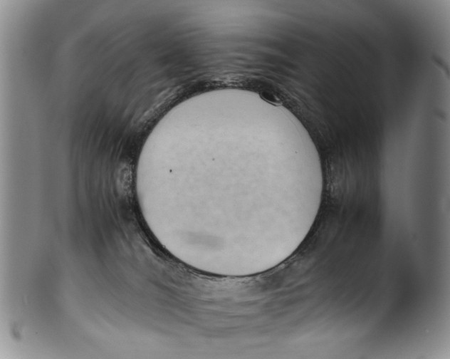 X0000100420036200806271517