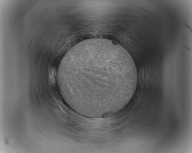 X0000100420038200806271517