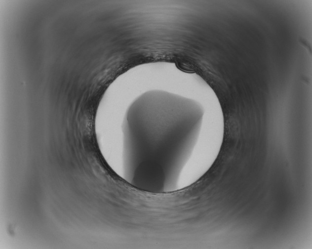 X0000100420039200806271517