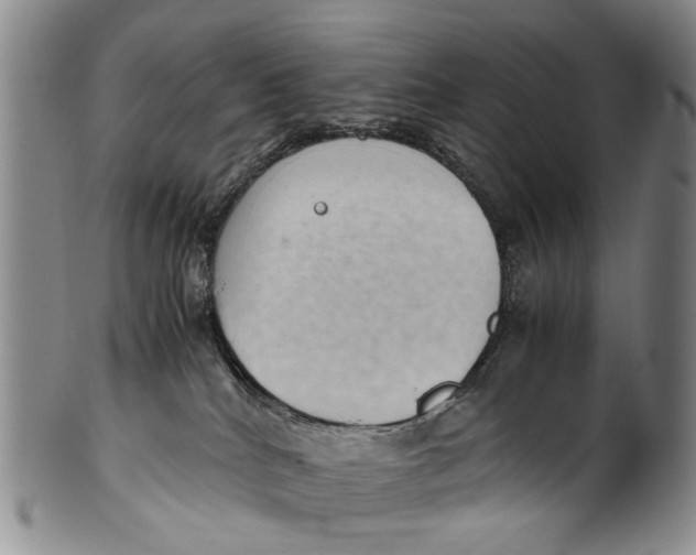 X0000100420040200806271517