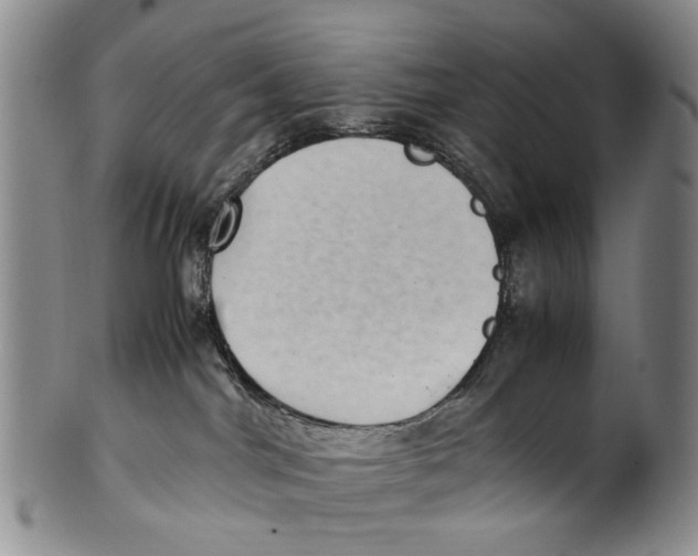 X0000100420044200806271517