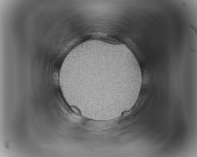 X0000100420045200806271517