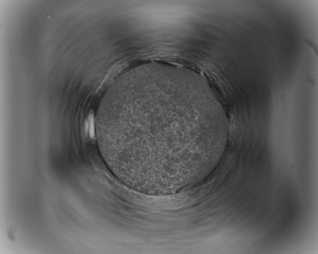 X0000100420046200806271517