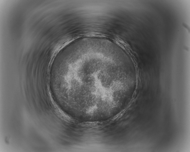 X0000100420049200806271516