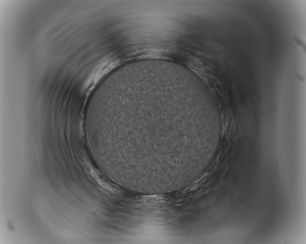 X0000100420050200806271516