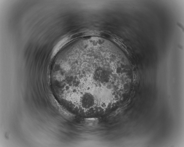 X0000100420053200806271517