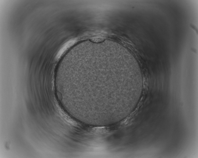 X0000100420054200806271517