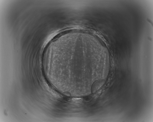 X0000100420055200806271517