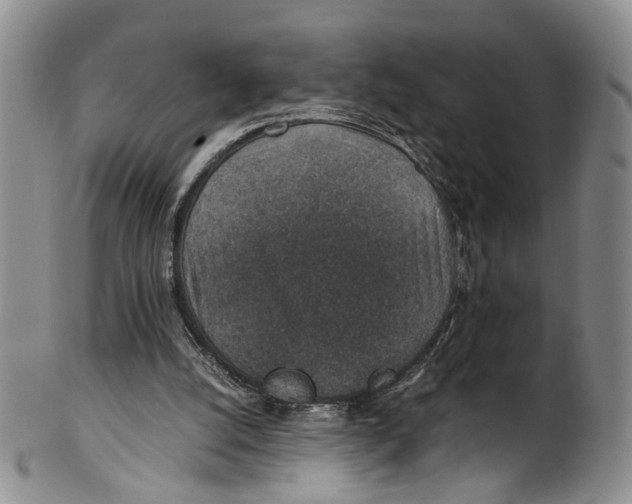 X0000100420056200806271517