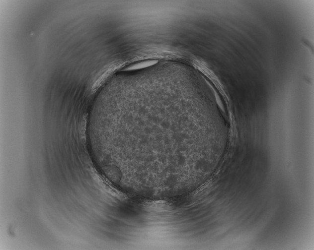 X0000100420058200806271517