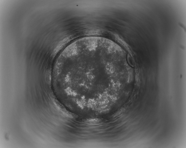 X0000100420059200806271517