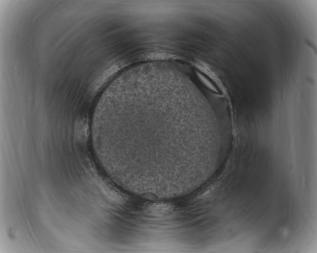 X0000100420063200806271517