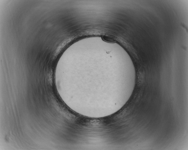 X0000100420064200806271517