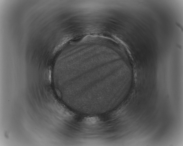 X0000100420067200806271517