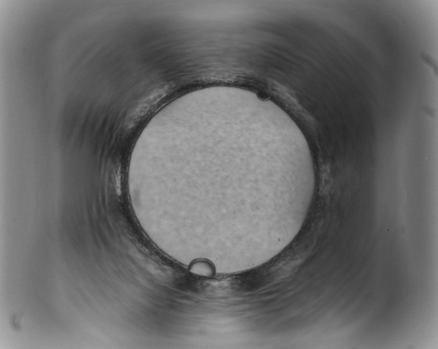 X0000100420068200806271517