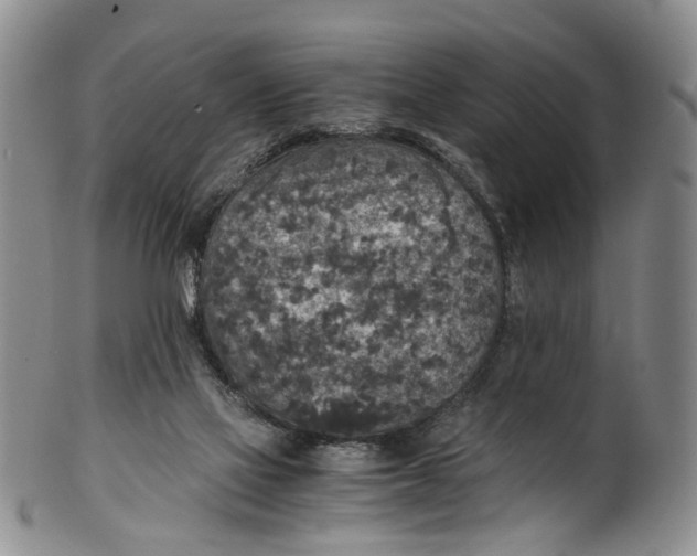 X0000100420069200806271517