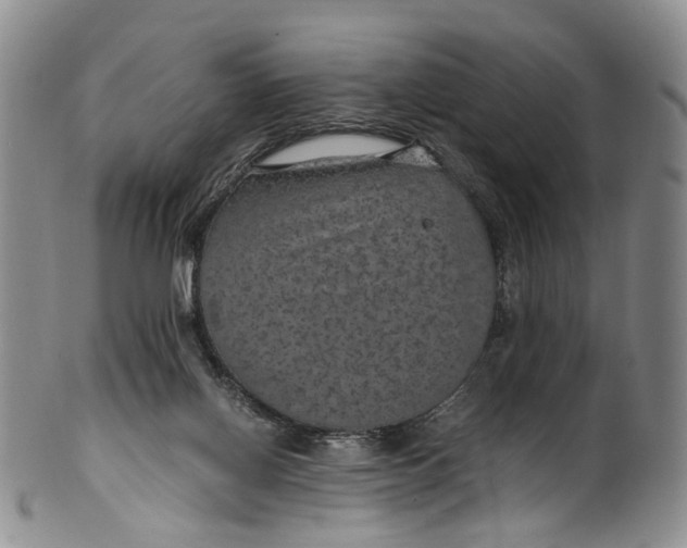 X0000100420070200806271517