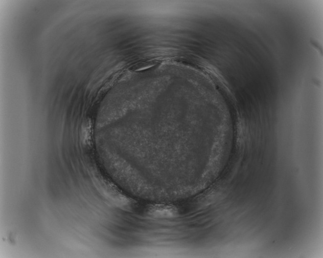 X0000100420073200806271517