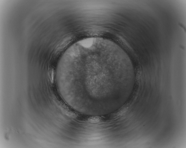 X0000100420076200806271517