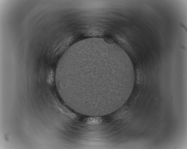 X0000100420077200806271517