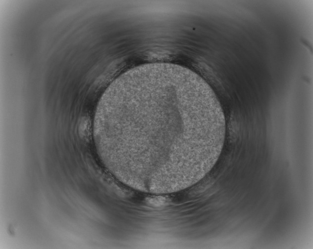 X0000100420079200806271517