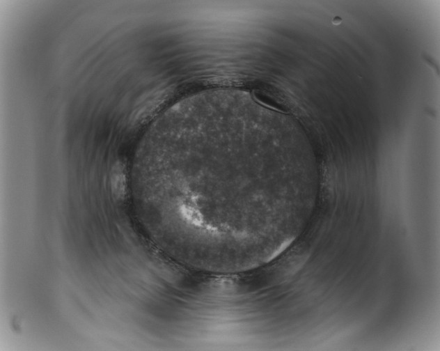 X0000100420080200806271517