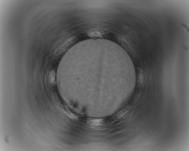 X0000100420081200806271517