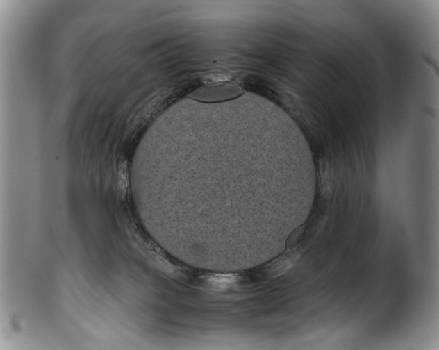 X0000100420085200806271517