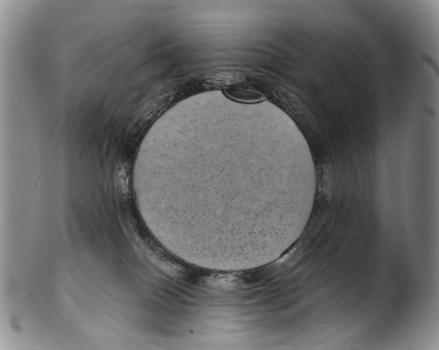 X0000100420086200806271517