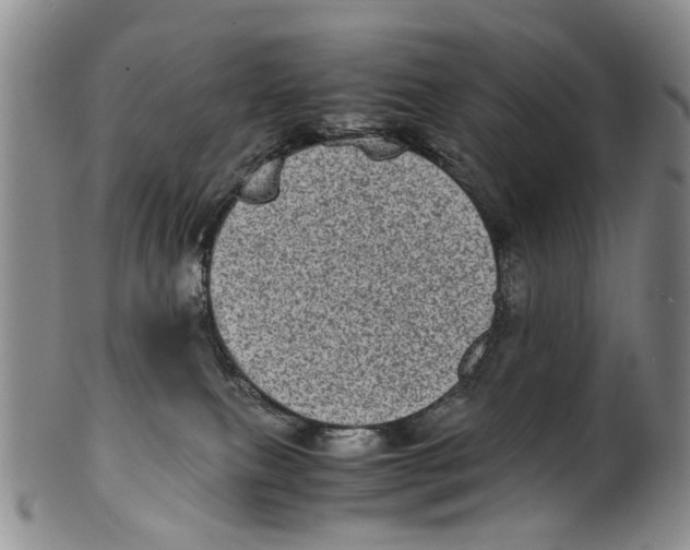 X0000100420087200806271517